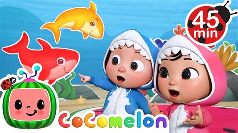 cocomelon baby shark - Youtube Kids