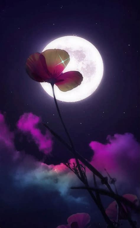 Flower Moon 🌙