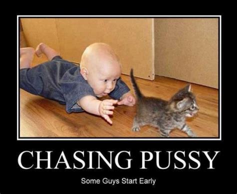 cat chasing tail meme - Ensure The Effective History Image Library