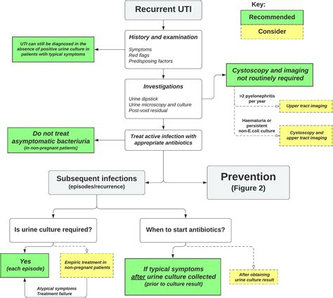 Guidelines For Treating Uti