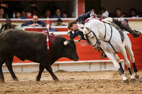 Photos:: Bullfighting at Plaza de Toros Monumental de Tijuana - Los ...