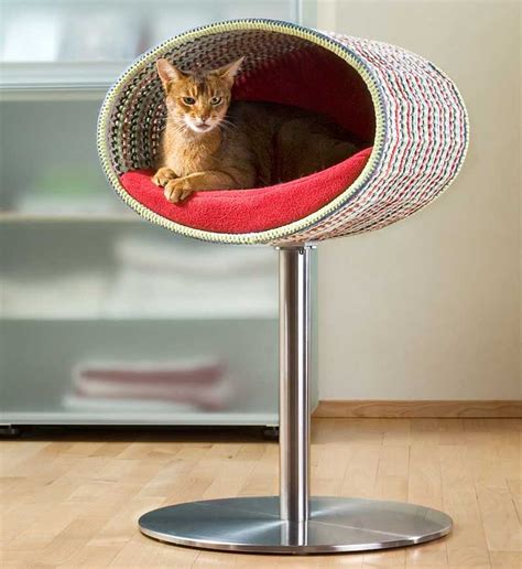 20+ Best Luxury Cat Beds You can Buy Online in 2023