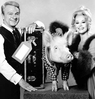 The Ten Best GREEN ACRES Episodes of Season Six | THAT'S ENTERTAINMENT!