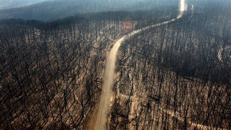 Black Saturday: The bushfire disaster that shook Australia - BBC News