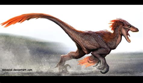 Velociraptor (?); Late Cretaceous (75–71Ma); Theropod; Discovered by ...