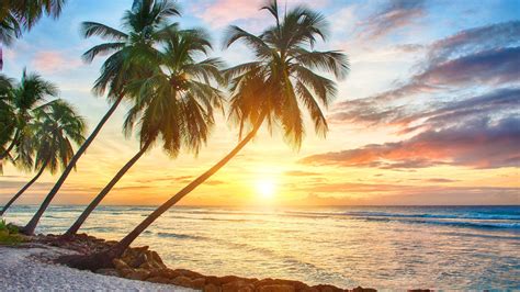 60+ Tropical Hawaiian Sunset Wallpapers - Download at WallpaperBro ...