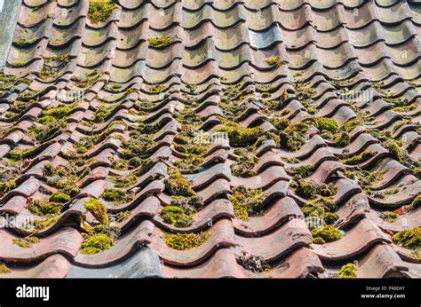 Green Roof Tiles High Resolution Stock Photography and Images - Alamy