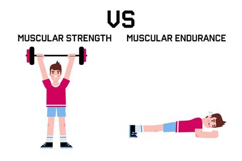 Muscular Endurance VS Muscular Strength