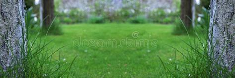 Details 200 nature banner background hd - Abzlocal.mx