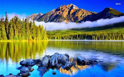 10++ Beautiful Nature Pictures Wallpapers - Basty Wallpaper