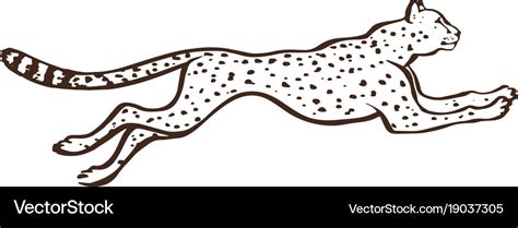 Running Cheetah Vector : Download 59 cheetah running free vectors.