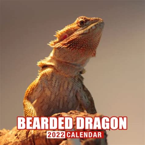 Bearded Dragon 2022 Calendar: A Great Gift For Lizards Lovers To ...