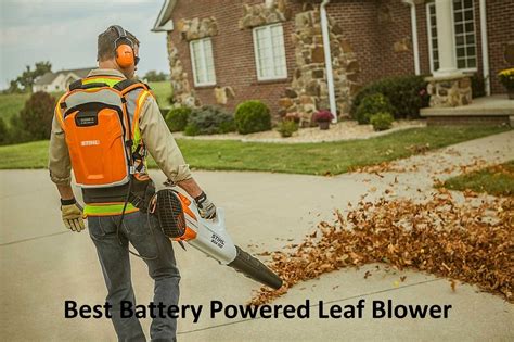 Best Battery Powered Leaf Blower | Reviews and Buying Guides