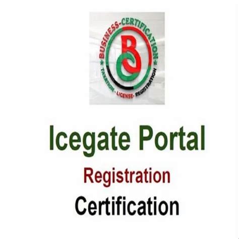 Icegate Registration Pan India in New Delhi | ID: 26412827955