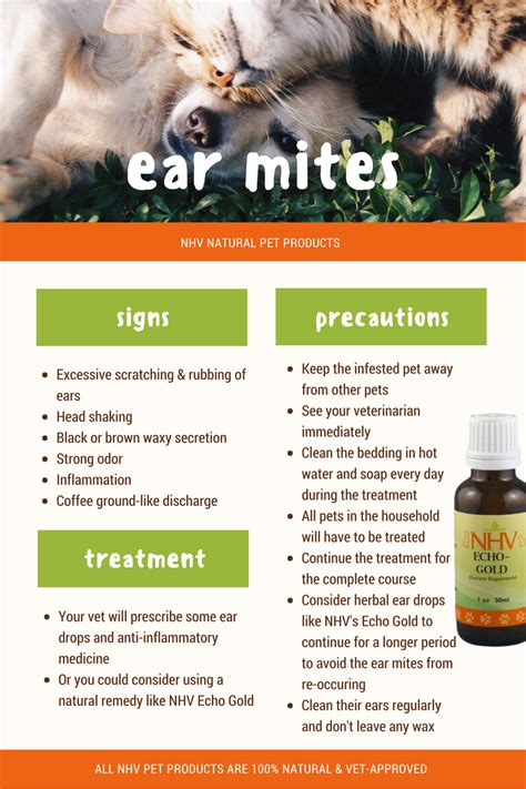 Veterinary Treatment For Ear Mites In Cats