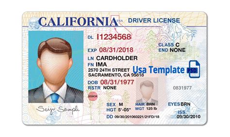 Fake California Drivers License Template