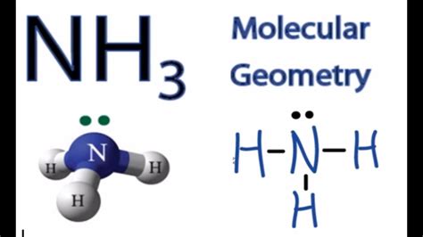 NH3 Molecular Geometry / Shape and Bond Angles (Ammonia) - YouTube