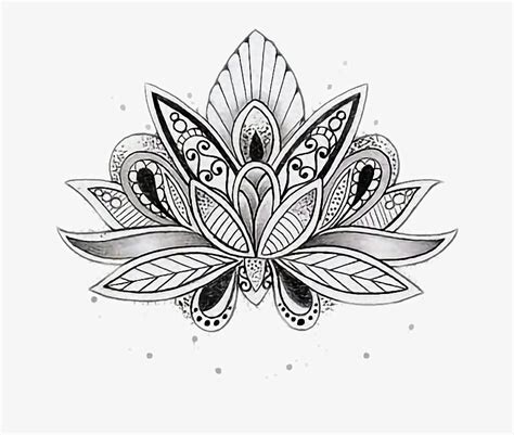 Mandalas Mandala Dibujo Tattoo Tato - Lotus Mandala Coloring Pages PNG ...