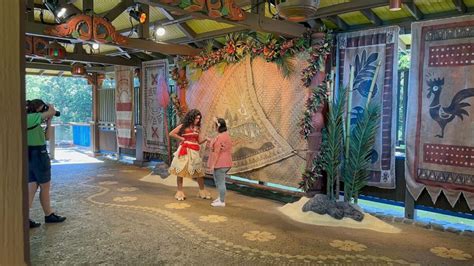 PHOTOS, VIDEO: Moana Meet and Greet Debuts at Disney’s Animal Kingdom ...