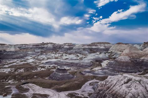 The Best 24-Hour Itinerary for Petrified Forest - A Couple Days Travel