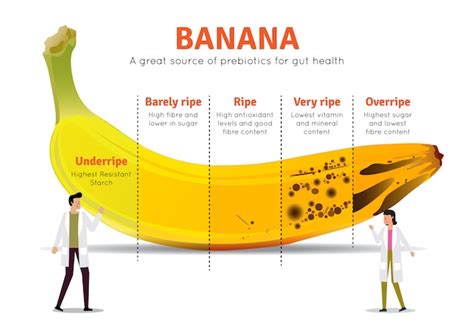 Premium Vector | Banana nutrition facts