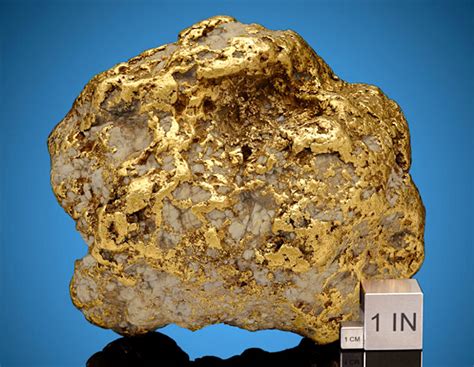 Alaska’s largest-ever gold nugget | TreasureNet 🧭 The Original Treasure ...