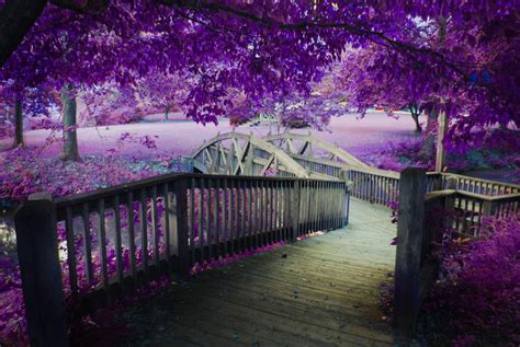 Fairy Bridge by raybearr on DeviantArt