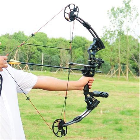 20-70lbs Black Compound Bow RH 8 X CARBON ARROW - COBRA Hunting