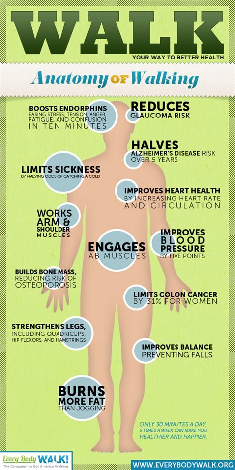 The Astounding Health Benefits Of Walking Infographic