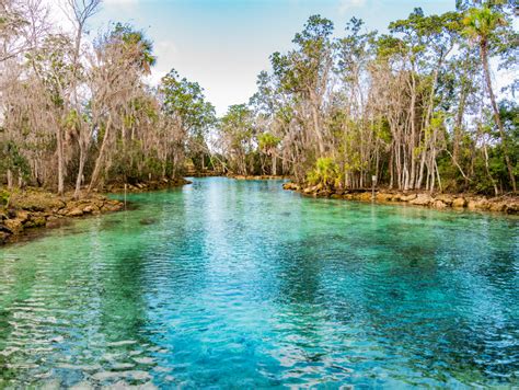 the water is crystal blue and green in this river with trees on both ...