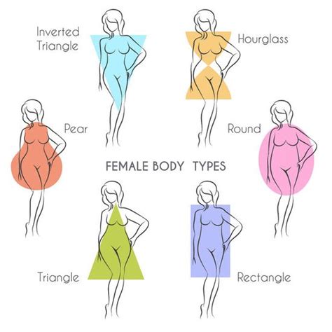 Female Body Types Chart