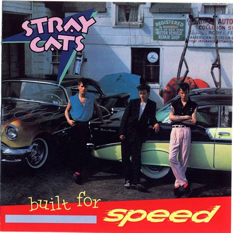 Stray Cat Strut on Kids Place Live