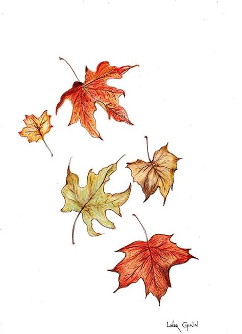 Falling Leaf Drawing | Leaf drawing, Fall leaves drawing, Leaf art