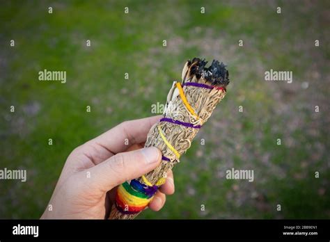 Hand Holding Sage performing Smudging Ritual Stock Photo - Alamy