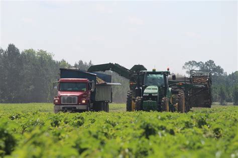 Black Gold Farms on LinkedIn: #farmers #agriculture #agronomy