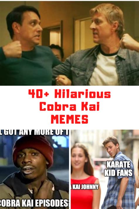 40+ Hilarious COBRA KAI Memes - Guide For Geek Moms