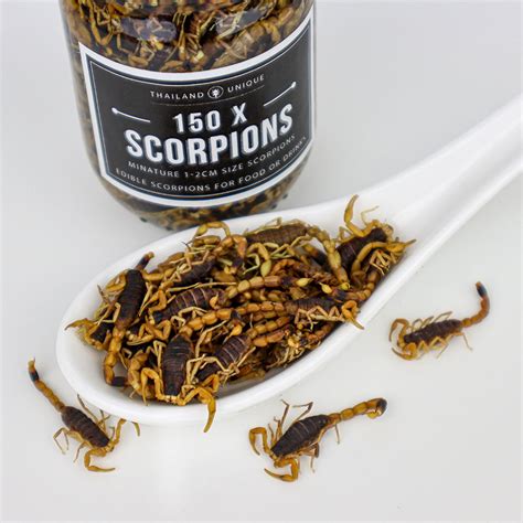 Small Edible Scorpions, 150 count for food or drink garnishes