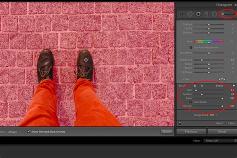 How to Blur Background in Lightroom (3 BEST ways!)