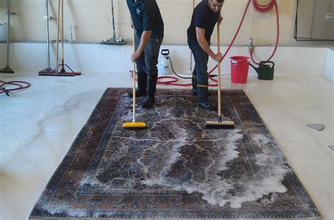 Cleaning 101: How to Clean an Area Rug - Shiny Carpet Cleaning