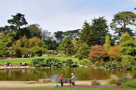 Golden Gate Park Parking in 2022 [The Best Guide + Tips]