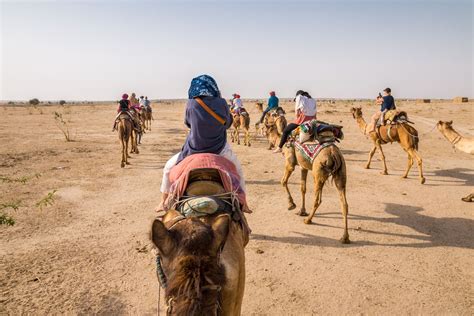 Camel Safaris in Jaisalmer & Bikaner: What to Know