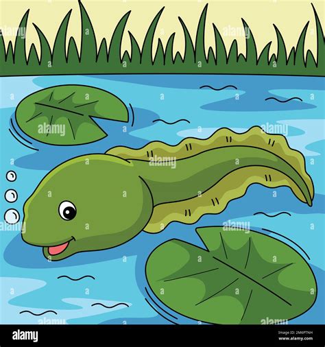 Tadpole Animal Colored Cartoon Illustration Stock Vector Image & Art ...