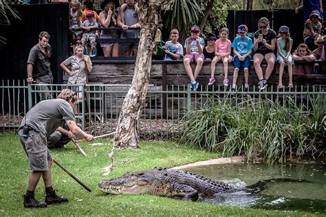 The Australian Reptile Park (Insider's Guide) - iCentralCoast