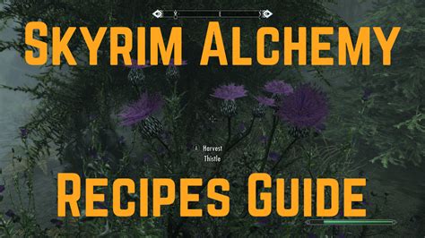 Skyrim Alchemy Recipes: [Expert's Opinion + Experience] - eXputer.com