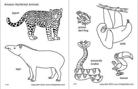 Jungle Animals Outline