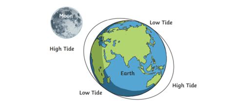 What are spring and neap tides? Teaching Wiki - Twinkl