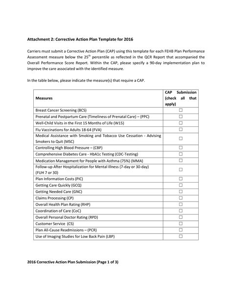 Corrective Action Plan