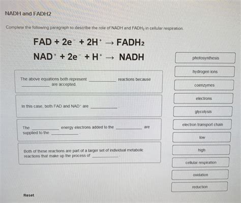 Solved NADH and FADH2 Complete the following paragraph to | Chegg.com