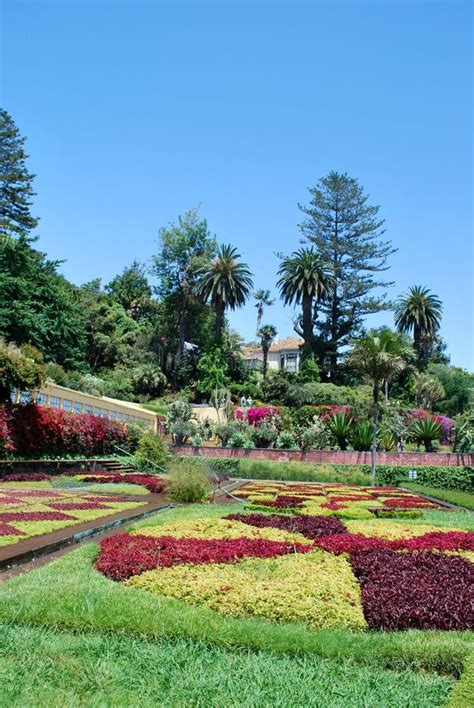 The Botanical Garden of Funchal in Madeira Stock Photo - Image of ...