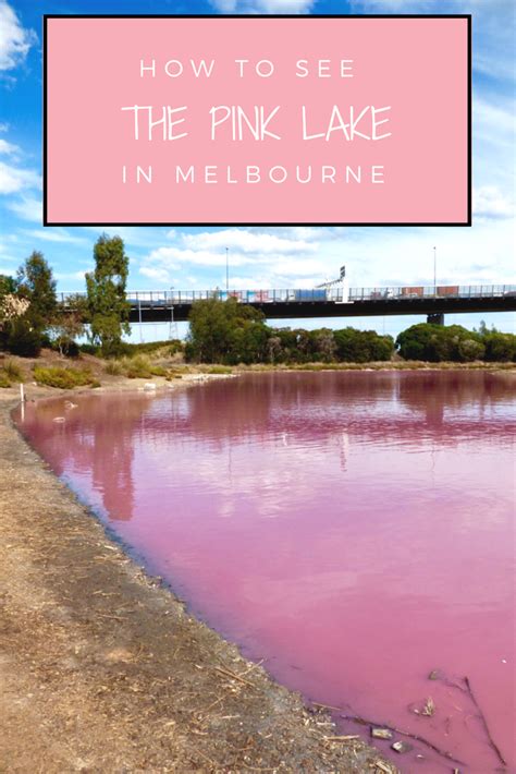 How To See the Pink Lake in Melbourne and How to Get There - Universal ...